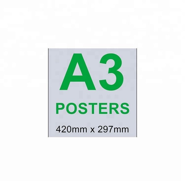 Flyer Poster Printing Services Professional Printing Service Custom Laminated Digital Printing Posters Services