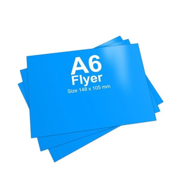 Biodegradable Paper Small Quantity Printing Flyers