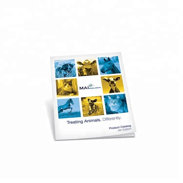 China Overseas Colorful Hardcover Book Printing
