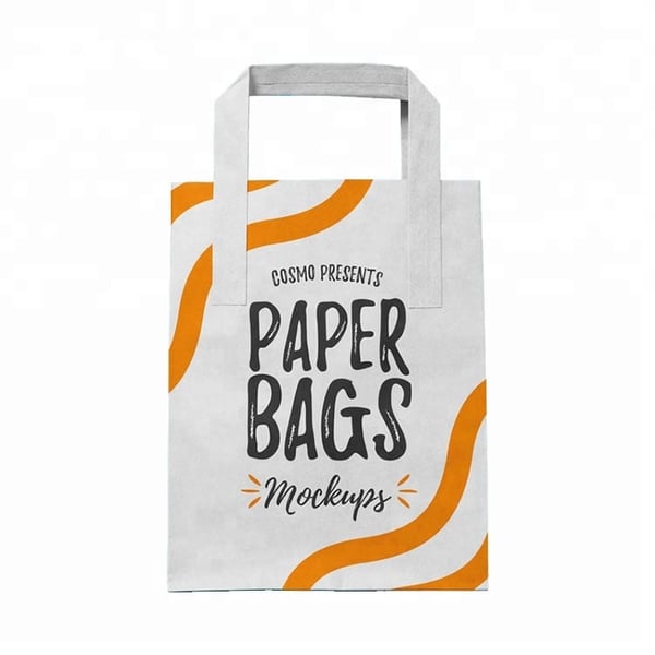 Shopping Paper Bag with Logo Custom Printing Services