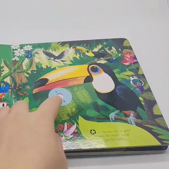 Interactive Children’s Books