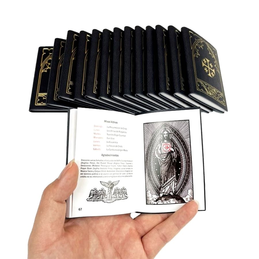 Compact pocket Bible with gold edged pages and clear printing