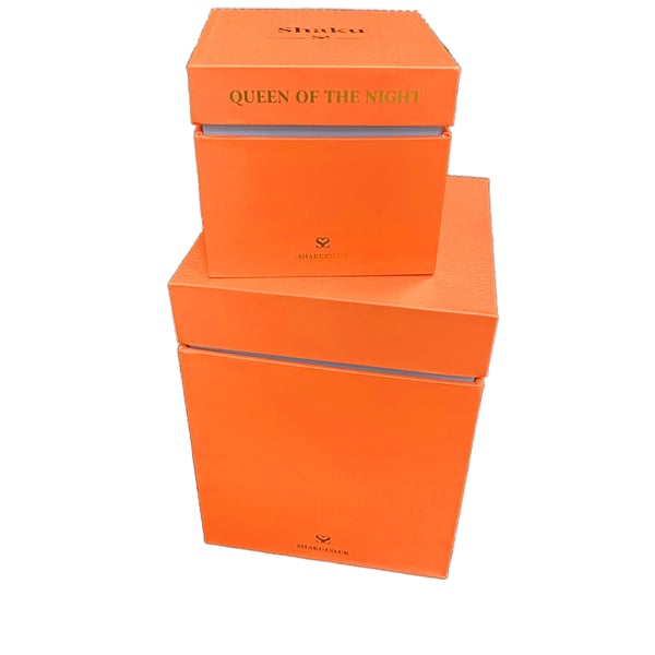 Perfume Cajas De Eco Friendly Materials Branding Embossed Luxury Perfume Boxes with Foam Inserts Matte UV